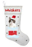 Domestic Shorthair Cat Christmas Stocking, Domestic Shorthair Cat Stocking, Personalized Domestic Shorthair Cat Stocking, Customized Domestic Shorthair Cat Christmas Stocking