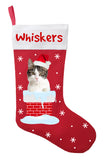 Domestic Shorthair Cat Christmas Stocking, Domestic Shorthair Cat Stocking, Personalized Domestic Shorthair Cat Stocking, Customized Domestic Shorthair Cat Christmas Stocking