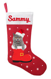 Chartreux Cat Christmas Stocking - Personalized and Hand Made Chartreux Stocking - Green, Red or White