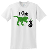 Dinosaur Birthday Shirt, Personalized Dinosaur Birthday Shirt with Age