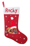 Dogue de Bordeaux Christmas Stocking - Personalized and Hand Made Dogue de Bordeaux Stocking - Green, Red or White