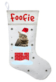 Tabby Cat Christmas Stocking, Tabby Cat Stocking, Tabby Cat Christmas Gift, Personalized Tabby Cat Stocking, Personalized Tabby Cat Gift